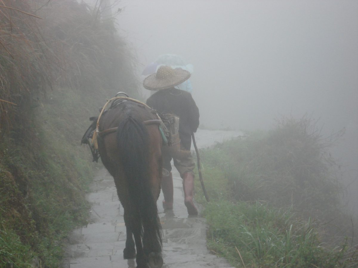 Homem e cavalo na montanha